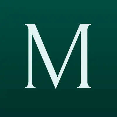 МаксМастер, магазин инструментов и отделочных материалов, лого-визитка